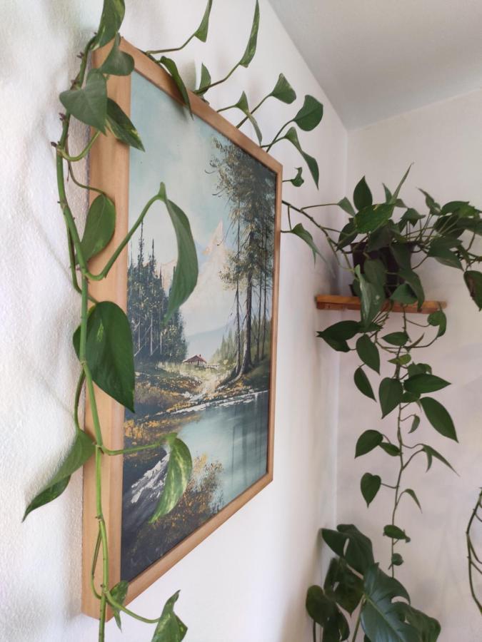 Kuca Za Odmor Tri Sunca Villa Pula Luaran gambar